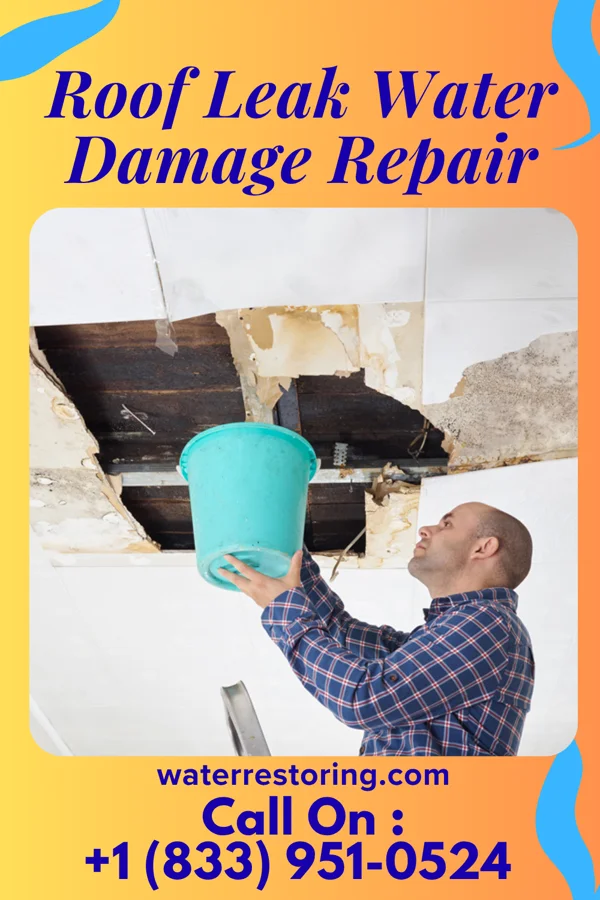 Roof Leak Water Damage Repair in Annona, TX